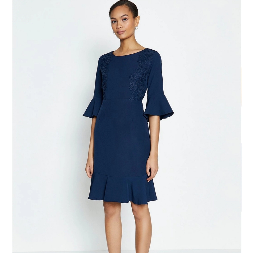 ILE New York  Bell Sleeve Shift Dress